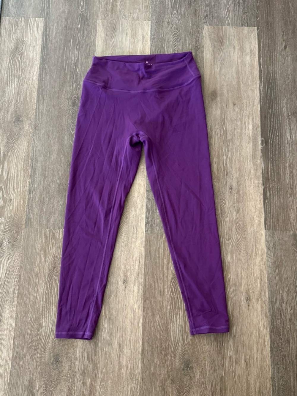 Paragon Fitwear PURPLE RecStretch Leggings size 2XL